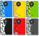 Paperland Caiet A4 cu spira, 100 file, coperta plastic PP500, hartie 80 g/mp, Paperland Select (24800075)