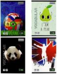 Paperland Vocabular 24 file, 70 g/mp, Paperland Premium (24800016)