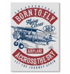 SteelPoster Fém poszter Born to fly Tábla Tepsi 22 x 31 cm +ajándék (plakat dekoracyjny, metalowa tablica, szyld)