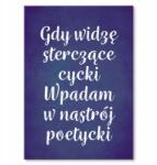 SteelPoster Fém poszter Költői hangulat Tábla Tepsi 42 x 59, 4 cm +ajándék (plakat dekoracyjny, metalowa tablica, szyld)