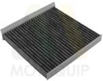MOTAQUIP Filtru aer habitaclu / polen MOTAQUIP LVCF735 (LVCF735)