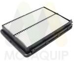 MOTAQUIP Filtru aer MOTAQUIP LVFA1669 (LVFA1669) - automobilus