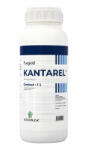 Ascenza Fungicid Kantarel - Penconazol 100 g/l - Fainare - Cais, Piersic, Nectarin, Pomi Fructiferi, Tomate, Vita de Vie, Cucurbitacee 1L