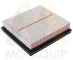 MOTAQUIP Filtru aer MOTAQUIP LVFA1714 (LVFA1714) - automobilus