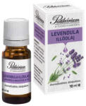 Patikárium levendula illóolaj 10 ml - patikatt