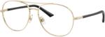 Jimmy Choo JC2021 3006 Rama ochelari