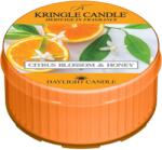 Kringle Candle Citrus Blossom & Honey lumânare 42 g