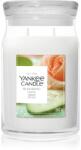 Yankee Candle Blooming Love lumânare parfumată 567 g