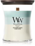 WoodWick Trilogy Driftwood Shores lumânare parfumată cu fitil din lemn 275 g