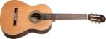 Ortega Guitars R19S - kytary