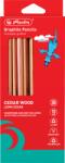 Herlitz Creion grafit 2B, mina 2.4mm, set 10 + manson creion din silicon si ascutitoare, Herlitz HZ9498600