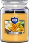 LCA Lumanare Parfumata in Borcan, Parfum Mango (LCA-SND99-475)