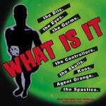 Various Artists - What Is It - What Records Punk Rock 1977-1983 (10") (0022871700711)