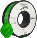 Professional Lab FG-P59-E1, filament 3D, PLA+, 1, 75mm, 1000g, Verde (Green) (FG-P59-E1)
