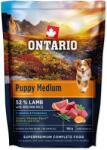 ONTARIO Puppy Medium Lamb & Brown Rice 0, 1kg