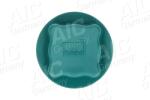 AIC Buson, vas expansiune AIC 55597 (55597)