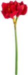  „Alessa amarillis - 66 cm (62247)