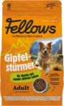 Fellows rovarfehérjés száraztáp aktív kutyáknak 2kg