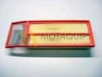 MOTAQUIP Filtru aer MOTAQUIP LVFA1460 (LVFA1460) - automobilus