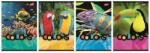UNIPAP Füzet A5/32 Kockás Exotic Colors (15 Db), Unipap (5903235675904)