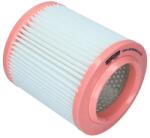 KAMOKA Filtru aer KAMOKA F252401 (F252401) - fixbox