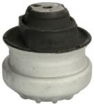 REINHOCH Suport motor REINHOCH RH11-3000 (RH11-3000) - fixbox