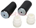ASHIKA Kit protectie praf, amortizor ASHIKA 159-00-0107 (159-00-0107)