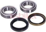 ASHIKA Set rulment roata ASHIKA 44-10050 (44-10050) - fixbox