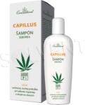  Șampon Cannaderm Capillus 150ml Seboree