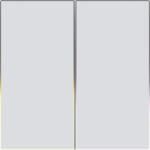 Avatto ZigBee Avatto TS60-EU-W2 Touch Light Switch Dual TUYA (alb) (ZTS60-EU-W2)