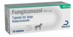 Dechra Fungiconazol 400 mg 1 tableta