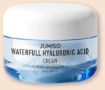 Jumiso Cremă pentru față cu acid hialuronic Waterfull Hyaluronic Acid Cream - 50 g