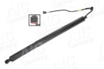AIC Motor electric, haion AIC 75646 (75646)