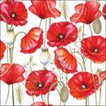 Ambiente Pipacsos szalvéta - 25x25 cm - Poppy all Over White (VR-12520415)