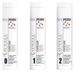 Raywell Plex Perm Dauer +keratinnal - Plex Dauer 0 - Természetes, és vastagszálú hajra (250 ml)