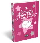 LIZZY Kit tok Stars Purrfect A5 (TICLFBKSA5)