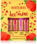 Burt's Bees Bee Mine ajakápoló méhviasszal íz Pomegranate, Strawberry, Dragonfruit Lemon, Watermelon 4x4.25 g
