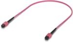 Ubiquiti UACC-OFC-MA-MPMP-0.5M-10 kabel InfiniBand / światłowodowy 0 5 m Różowy (W129042627) - ury