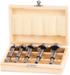 Strend Pro Set de burghie Forstner, Strend Pro FS056, 5 buc. , pentru lemn, cilindrice, diametru: 15 - 35 mm, coadă de prindere de 8 mm, 5 dimensiuni: 15, 20, 25, 30, 35 mm Burghiu