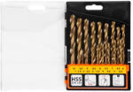 Strend Pro Set burghie pentru metal, Strend Pro FD032, 19 buc, coadă cilindrică, diametru: 1 - 10 mm, oțel rapid HSS, acoperire nitrură de titan (TiN), DIN 338 Burghiu