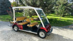 Yamaha G31E, mașinuță de golf pentru 8 persoane (8PERSON)