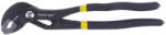 Strend Pro Clește pentru pompe de apă, Strend Pro Viper WP, negru, 180 mm, fălci zimțate, distanță între fălci reglabilă, oțel crom-vanadiu, deschidere fălci: 28 mm Cleste