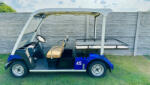 Yamaha G31E, mașinuță de golf pentru 2 persoane cu platformă mare din oțel (100x140 cm) (NPLATO)