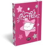 465 Füzetbox, A5, LIZZYSULI, "Kit tok Stars Purrfect (TICLFBKSA5)