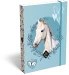 465 Füzetbox, A5, LIZZYSULI, "Wild Beauty, Sport Club (TICLFBWBA5)