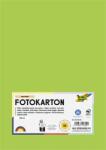 468 Dekorkarton, 2 oldalas, A4, 300 g, 50 lap, FOLIA, tavaszzöld (FL6145050)