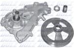 DOLZ Pompă de apă, răcire motor DOLZ R147ST (R147ST)