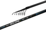 Delphin BOLONEX 6m 30g bolognai bot (101006874)