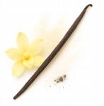 Green Touch Vanília Pálca 14-16 cm Vanília Bourbon Madagaszkár minőségi vákuumcsomagolt (PGT1_1szt)