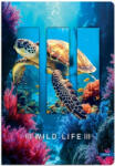 Lastva Jegyzetfüzet, LASTVA Wild life-T, keményfedeles, A5, 96 lapos, kockás (JFLWLTA596K)